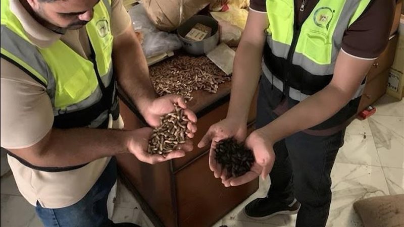 ضبط 600 كيلو بن مغشوش بنوى البلح ومنتهي الصلاحية في طنطا (صور)