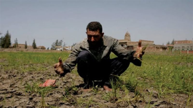 استيراد الغذاء مذلة، أستاذ زراعة يكشف فقدان مصر مليون فدان زراعي وخطورة اقتلاع الأشجار