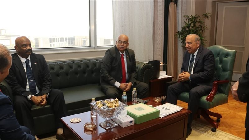 مصر والسودان يبحثان المرحلة الثانية من مشروع خط الربط الكهربائي بين البلدين