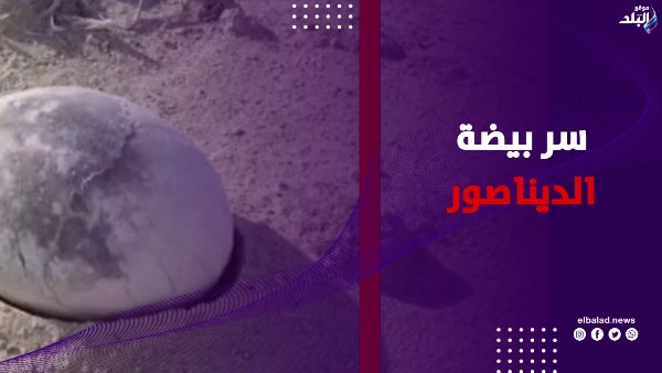 بلورات بدل العظام.. اكتشاف غريب داخل بيضة ديناصور