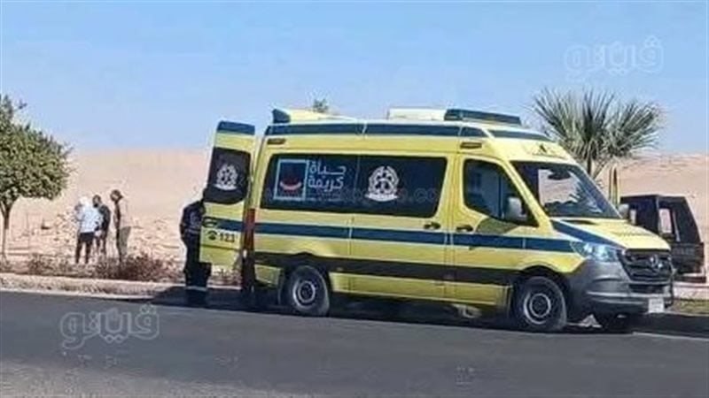 صور على تليجرام تشعل الخلاف، طالب هندسة يطعن زميله داخل جامعة دولية بمدينة بدر