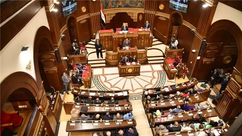 ما تريد معرفته عن تشكيل اللجنة العامة بمجلس الشيوخ في دور الانعقاد الثاني