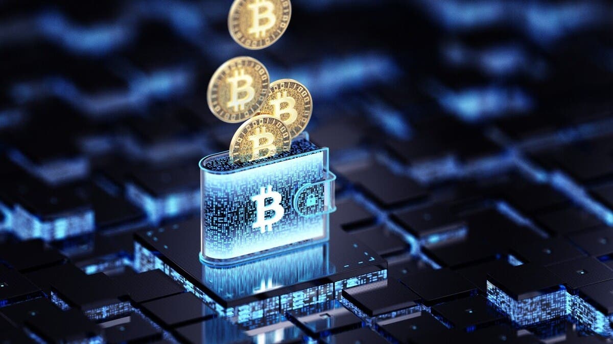 مكاسب 25% في أغسطس.. سر اختلاف موجة صعود بيتكوين الحالية عن سابقتها 
