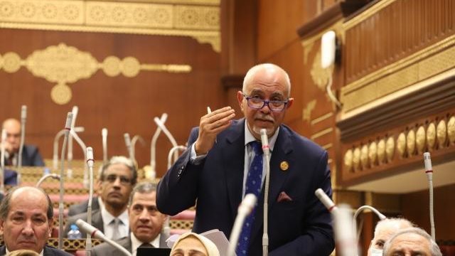 برلماني: توطين الصناعة حجر الزاوية في استراتيجية التنمية الاقتصادية الشاملة