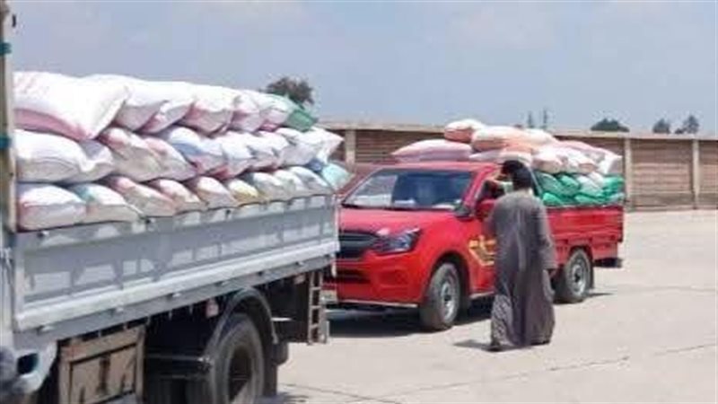 لا بيع للقمح أو الأرز بدون ترخيص، خطوط حمراء بقانون التموين لحماية الحبوب الاستراتيجية