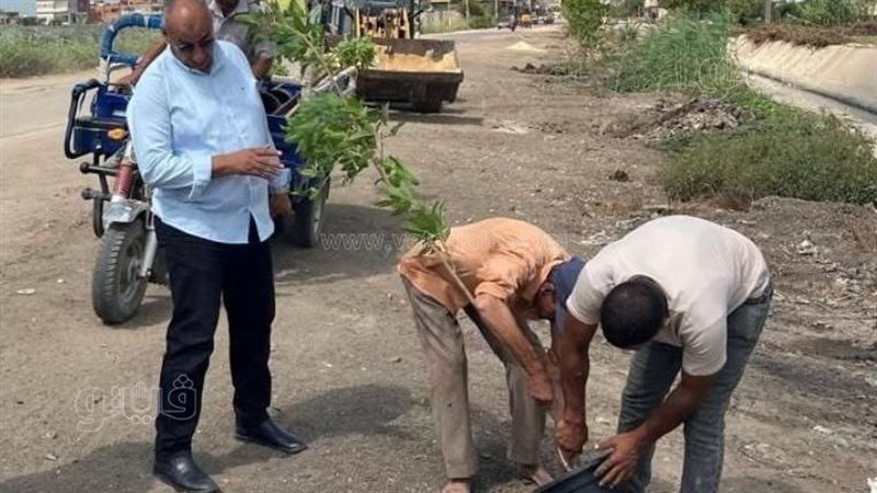 محافظ الشرقية يحظر قطع الأشجار نهائيًا ويشدد على تطبيق القانون بحق المخالفين