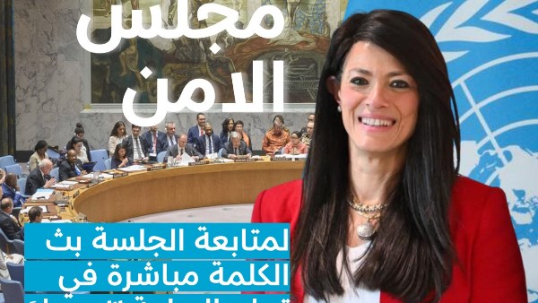 في كلمة بمجلس الأمن.. رانيا المشاط تتحدث عن تكلفة اضطرابات ممرات الملاحة البحرية وتوترات باب المندب