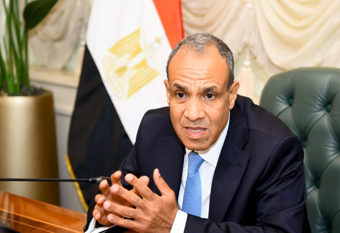 مصر تدعو للبناء على معاهدة الدفاع العربي المشترك لحماية الأمن القومي