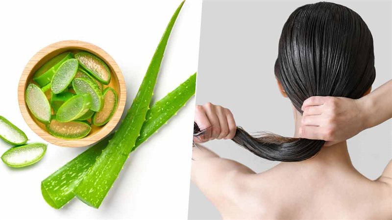طرق الاستفادة من جل الألوفيرا في العناية بالشعر مهما كان نوعه
