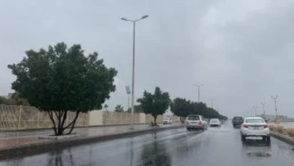الطقس اليوم الاثنين.. شبورة وأمطار خفيفة والعظمى بالقاهرة مفاجأة