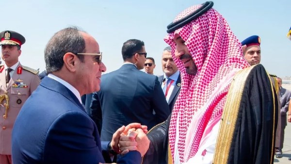 عبد المنعم السيد: مصر والسعودية أمام مرحلة جديدة من التكامل الاقتصادي والاستثماري