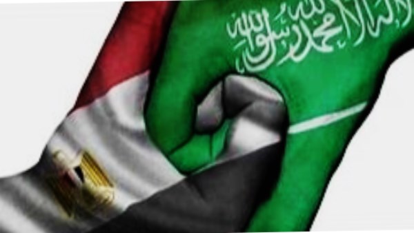 جمال الكشكي: الصناعة والتكنولوجيا والذكاء الاصطناعي أبرز مجالات التعاون بين مصر والسعودية