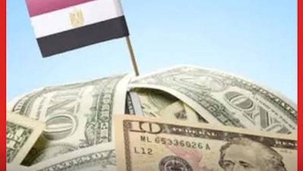 من 33 إلى 46%.. نائب يكشف تطورات خدمة الدين منذ برلمان 2012