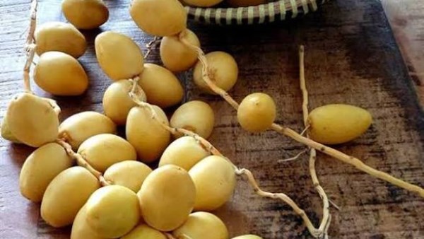 هل البلح الأصفر يرفع سكر الدم؟.. اعرف الكمية المناسبة لمرضى السكري
