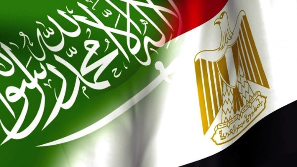 خبير علاقات دولية: التنسيق المصري السعودي صمام أمان للدفاع عن القضايا العربية