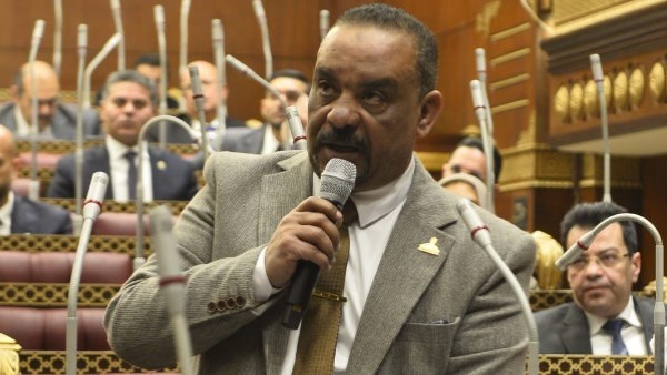 برلماني: الشراكة المصرية السعودية ركيزة أساسية لصياغة موقف عربي موحد تجاه أزمات المنطقة