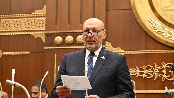 برلماني: اتصال الرئيس السيسي وبن سلمان يُجسد عمق الشراكة الاستراتيجية بين القاهرة والرياض