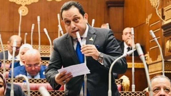 برلماني : زيارة شي جين تضع الاستثمارات الصينية في مصر أمام قفزة تاريخية