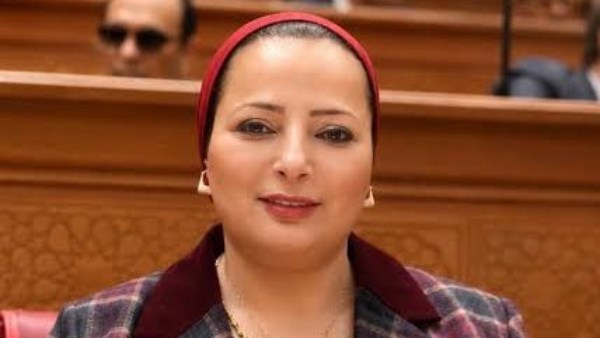 «التكنولوجيا للتعلم لا للتهديد».. برلمانية تدعو لبناء جيل واعٍ رقميًا