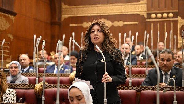 برلمانية: اجتماعات الرئيس السيسي تستهدف حماية مقدرات الدولة ومواصلة مسيرة البناء