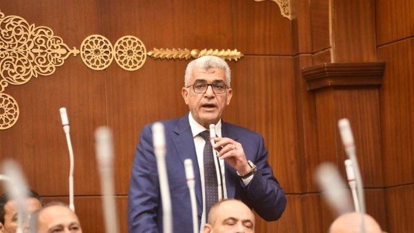 نائب: تأمين الجبهة الداخلية وتعزيز الثقة في المؤسسات أولوية لمواجهة التحديات