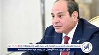 عاجل- السيسي يصدر قرارًا بتعيين 4 نواب لرئيس المحكمة الدستورية العليا.. تعرف على الأسماء