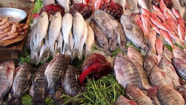 السمك رخص.. مفاجأة في أسعار الأسماك اليوم بسوق العبور.. فيديو