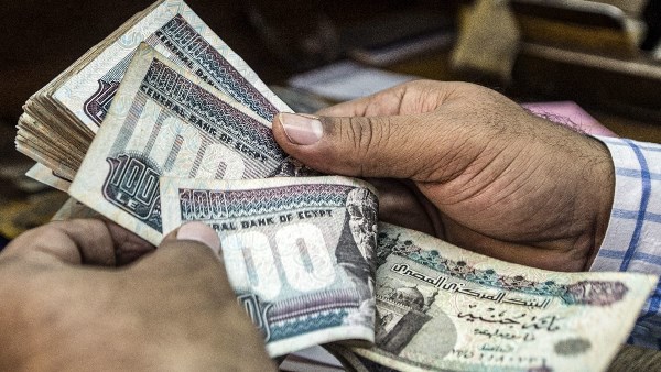 برلمانية: تنظيم العمالة المنزلية يحمي المرأة ويعزز اقتصاد الرعاية في مصر