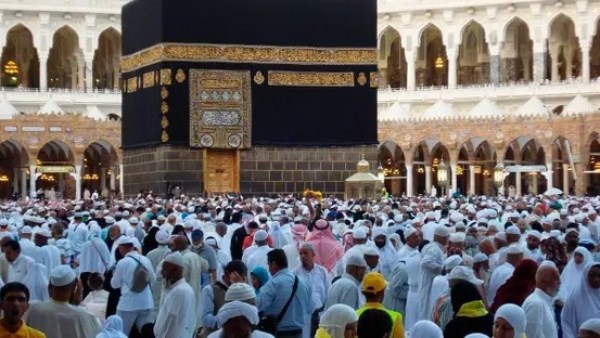 بعد حادثة حافلة المعتمرين المصريين.. آخر التطورات وحالة المصابين