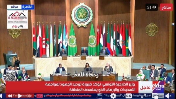 وزراء الخارجية العرب يبحثون تطورات الأوضاع في المنطقة.. تفاصيل