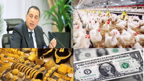 أخبار التوك شو | الحكومة توجه رسائل عاجلة للمحافظين.. وشعبة الذهب تكشف مستقبل الأسعار ومفاجأة بشأن الدولار