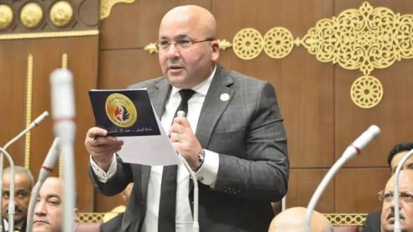 نائب: توجيهات الرئيس بتخضير القاهرة تعكس رؤية الدولة لبناء مدن أكثر استدامة