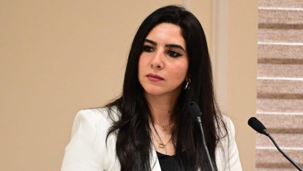 سؤال برلماني بشأن إزالة الأشجار المعمرة بشوارع الجيزة
