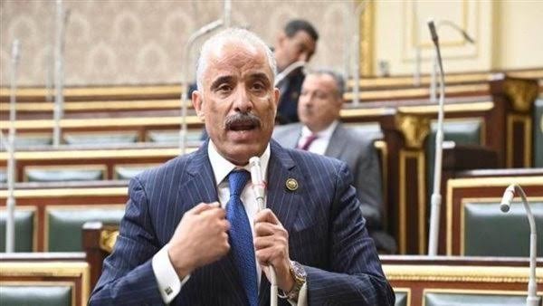 برلماني: قمة الرئيسين السيسي وأبو مازن تضع تثبيت غزة وإعمارها على رأس الأولويات