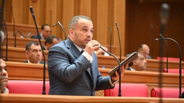 برلماني: يجب منح الموظف المتعاطي فرصة ثانية للعلاج والتأهيل قبل فصله مراعاة للأسرة