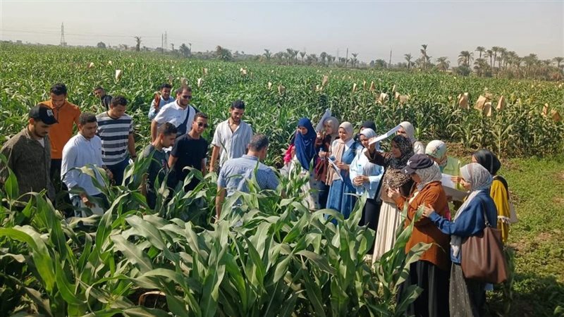 “الزراعة” تختتم برنامجا تدريبيا حول أحدث أساليب مكافحة الآفات بسوهاج