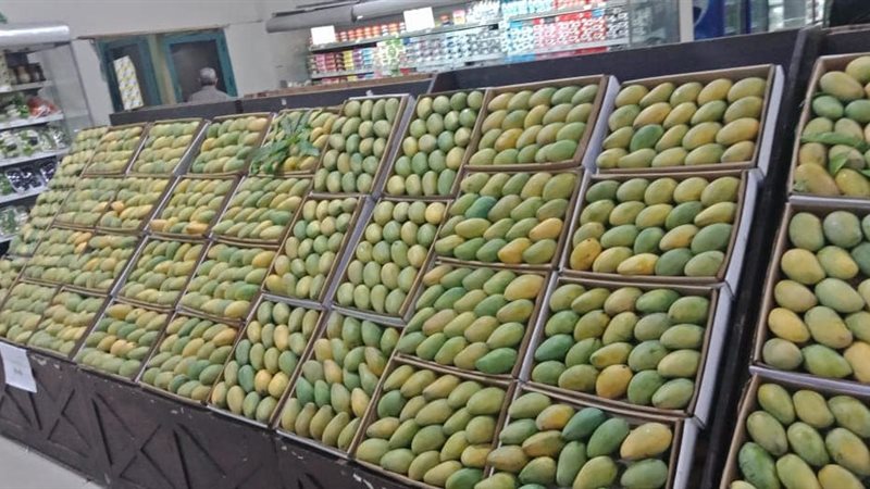 أسعار المانجو اليوم، ارتفاع العويسي والفص 10 جنيهات وانخفاض جولك والزبدية