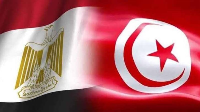 صراع تاريخي، يد مصر تتفوق والطائرة تفشل في مجاراة “نسور قرطاج”