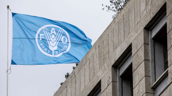 الأمم المتحدة تخفض مساعدات الغذاء في الضفة الغربية إلى النصف بسبب نقص التمويل