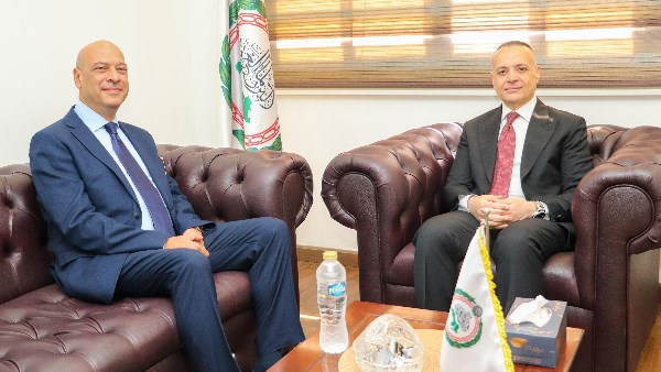 أمين البرلمان العربي ومساعد وزير الخارجية للشؤون البرلمانية يبحثان سبل تعزيز التعاون والتنسيق المؤسسي