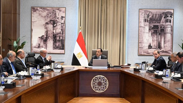 رئيس الوزراء: إعادة هيكلة الشركات المملوكة للدولة لتحسين أدائها