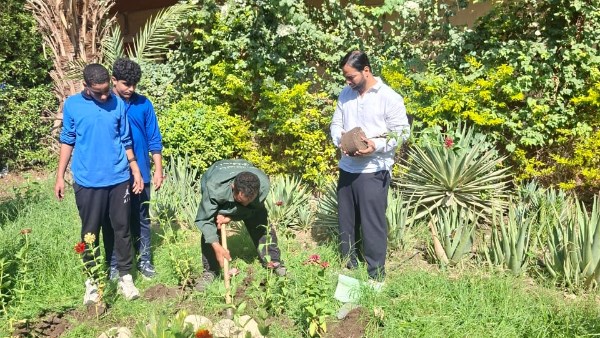 النظافة وتعليم الجيزة يطلقان برنامجا لتوعية الطلاب بالتشجير وزراعة الأشجار بالمدارس