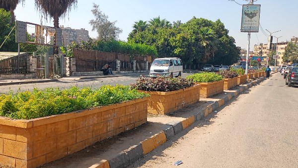 اتحضر للأخضر.. الجيزة تتوسع في زراعة النباتات المزهرة وحملات التجميل في إمبابة