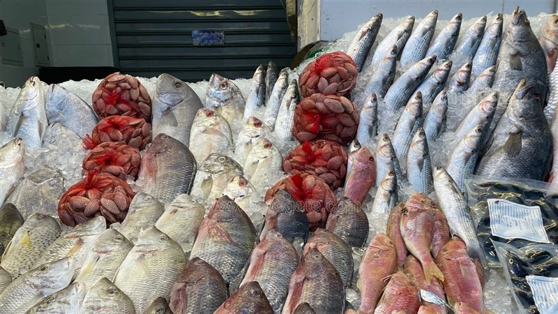 أسعار السمك اليوم، البلطي يسجل 58 جنيها وارتفاع الجمبري وانخفاض البوري 10 جنيهات