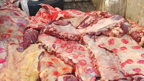 ضبط لحوم مذبوحة خارج المجازر في حملة بيطرية بالمنوفية