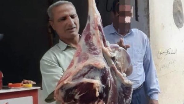 بيطري المنوفية: ضبط لحوم غير صالحة للإستهللك الآدمي بأشمون
