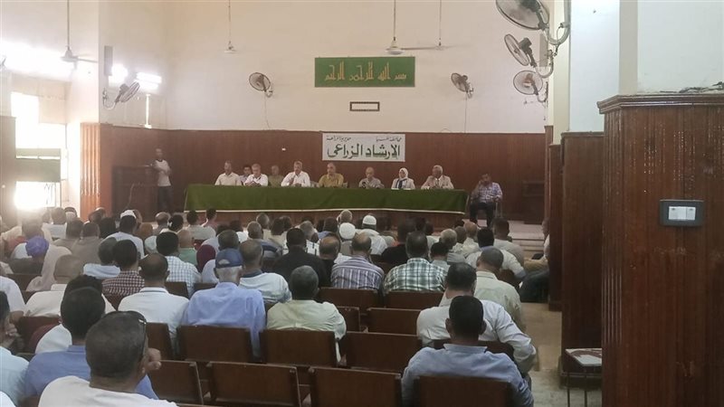 من قلب الصعيد، اتحاد الحاصلات البستانية والتحالف العربي يدعمان منظومة تقاوي البطاطس بالمنيا