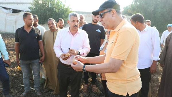 محافظ المنيا يشارك فلاحي «البرجاية» انطلاق موسم زراعة البطاطس