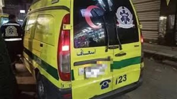 مصرع شخصين وإصابة آخر في حادث تصادم بالمنيا
