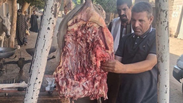 ضبط 1.5 طن لحوم ودواجن غير صالحة وتحرير 10 محاضر بالمنيا